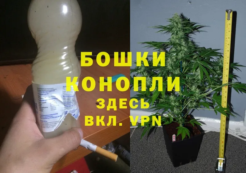 Канабис White Widow  как найти закладки  Малаховка 